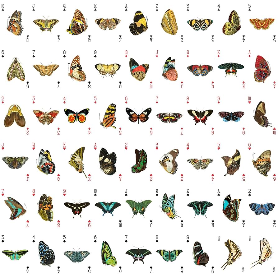 Butterfly Playing Cards（ほぼ新品） Butterfly Playing Cards Marked 3rd Edition by Ondrej